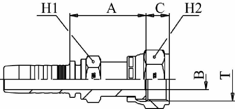 it10orfsf1116-1156