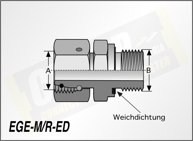 Leicht